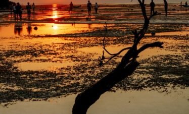 sumba island susnet