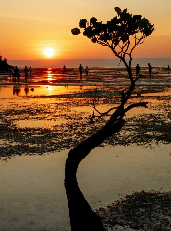 sumba island susnet
