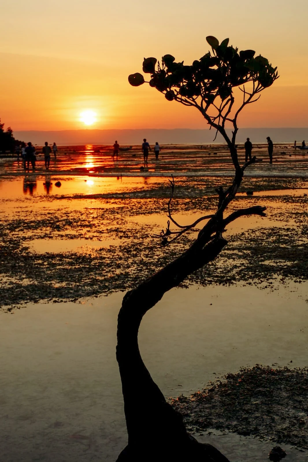 sumba island susnet